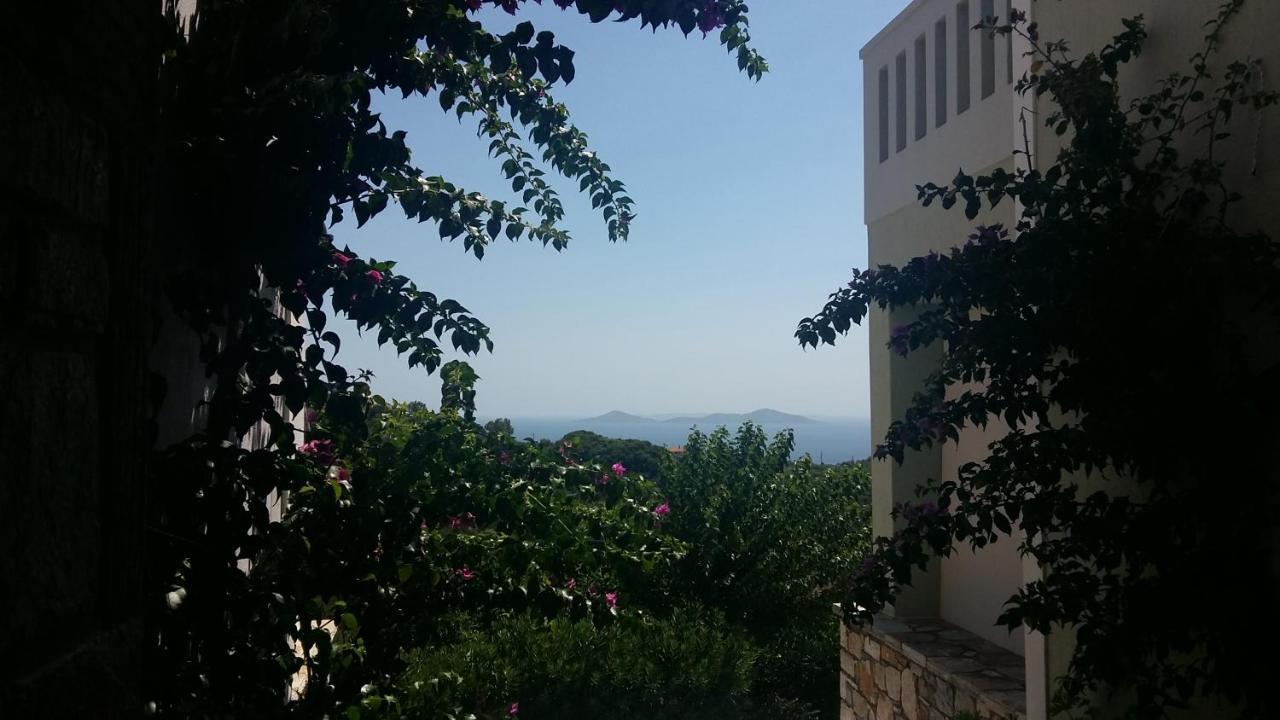 Old Village Alonnisos Town Exterior photo